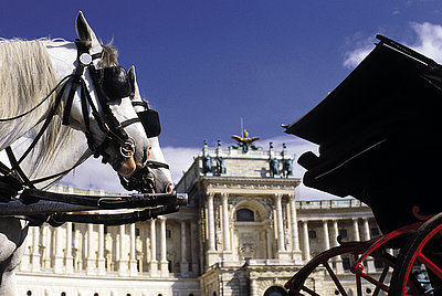 The picture shows horse-drawn carriages in front of the Hofburg palace in the center of Vienna